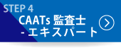 CAATs監査士-エキスパート