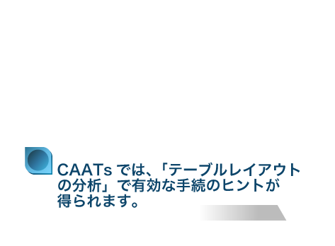 CAATsでは、「ファイルレイアウトの分析」で有効な手続のヒントが得られます。